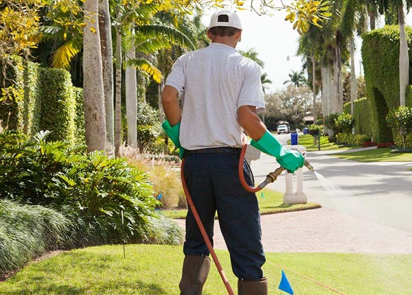 About Johnstown NE Pest Control Pros
